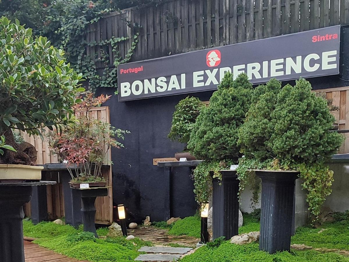 Zen Guest House - Museu Do Bonsai Sintra Kültér fotó